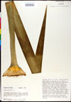 000027605-thumbnail.jpg