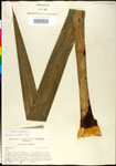 000027607-thumbnail.jpg