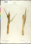 000027608-thumbnail.jpg