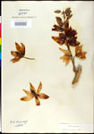 000027609-thumbnail.jpg