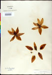 000027610-thumbnail.jpg