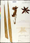000027613-thumbnail.jpg