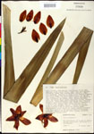 000027614-thumbnail.jpg