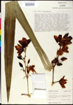000027615-thumbnail.jpg