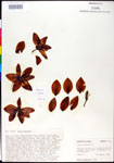 000027616-thumbnail.jpg
