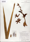 000027617-thumbnail.jpg