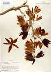 000027619-thumbnail.jpg