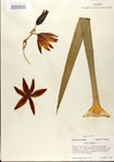 000027620-thumbnail.jpg