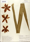 000027621-thumbnail.jpg