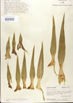 000027624-thumbnail.jpg