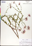 000027866-thumbnail.jpg