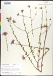 000027868-thumbnail.jpg