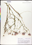 000027870-thumbnail.jpg