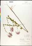 000027874-thumbnail.jpg