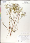 000027878-thumbnail.jpg