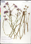 000027880-thumbnail.jpg