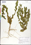 000027881-thumbnail.jpg