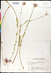 000027882-thumbnail.jpg