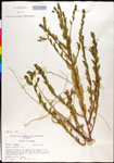 000027883-thumbnail.jpg