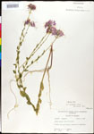 000027885-thumbnail.jpg