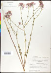 000027886-thumbnail.jpg