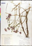 000027887-thumbnail.jpg