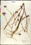 000027890-thumbnail.jpg