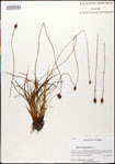 000028676-thumbnail.jpg