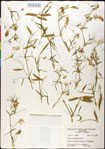 000030874-thumbnail.jpg