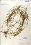 000030877-thumbnail.jpg