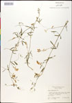 000030878-thumbnail.jpg