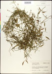 000030879-thumbnail.jpg