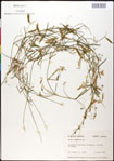 000030880-thumbnail.jpg