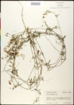000030881-thumbnail.jpg