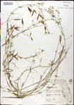 000030884-thumbnail.jpg