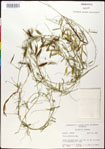 000030885-thumbnail.jpg