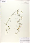 000030888-thumbnail.jpg