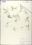 000030892-thumbnail.jpg