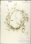 000030893-thumbnail.jpg