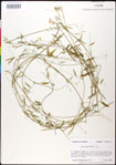 000030895-thumbnail.jpg