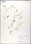 000030898-thumbnail.jpg