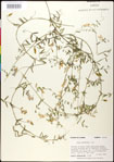 000030899-thumbnail.jpg
