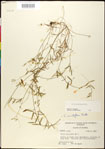000030900-thumbnail.jpg