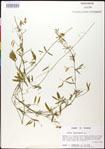 000030901-thumbnail.jpg