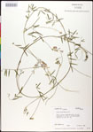 000030903-thumbnail.jpg