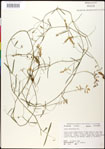 000030904-thumbnail.jpg