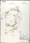 000030906-thumbnail.jpg