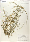 000030914-thumbnail.jpg