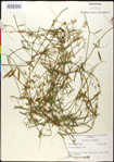 000030916-thumbnail.jpg