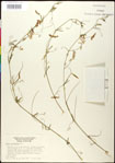 000030918-thumbnail.jpg